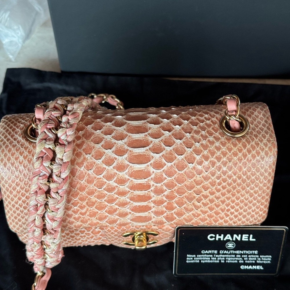 Chanel Salmon Pink Mini Rectangular Classic Flap Bag in Exotic Leather - Picture 3 of 8